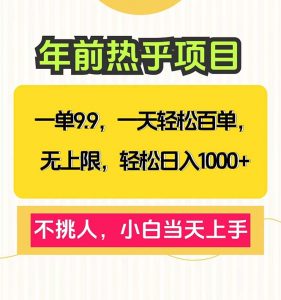 一单9.9，一天百单无上限，不挑人，小白当天上手，轻松日入1000+-网创小站