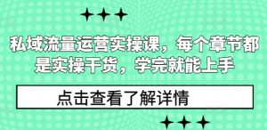 私域流量运营实操课，每个章节都是实操干货，学完就能上手-网创小站