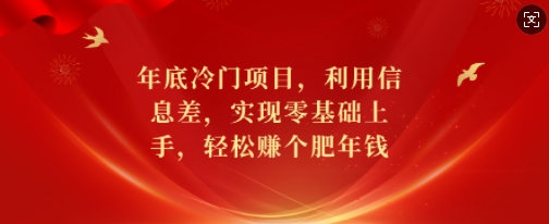 年底冷门项目，利用信息差，实现零基础上手，轻松赚个肥年钱【揭秘】-网创小站