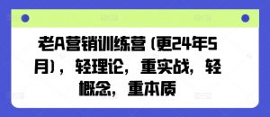 老A营销训练营(更24年12月)，轻理论，重实战，轻概念，重本质-网创小站