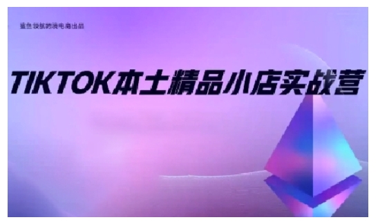 TikTok本土精品小店出海实战营，从入门到高阶，不止0-1!-网创小站