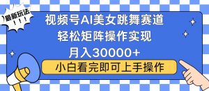 视频号蓝海赛道玩法，当天起号，拉爆流量收益，小白也能轻松月入30000+-网创小站