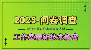 2025问卷调查最新工作室技术解密：一个人在家也可以闷声发大财，小白一天2张，可矩阵放大【揭秘】-网创小站