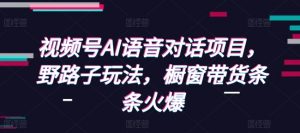 视频号AI语音对话项目，野路子玩法，橱窗带货条条火爆-网创小站