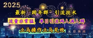 最新“跨年群”引流，流量非常猛，单日引流两人满人群，立马操作立马见效【揭秘】-网创小站