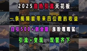 2025自热引流天花板，一条视频能带来四位数的收益，引流+变现双管齐下，日引500+创业粉，涨粉嘎嘎猛-网创小站