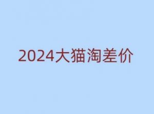 2024版大猫淘差价课程，新手也能学的无货源电商课程-网创小站