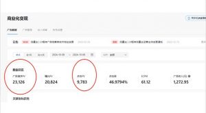 抖音雪花无人直播，一天躺赚3000+，0粉手机可搭建，不违规不限流，小白...-网创小站