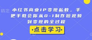 小红书商业IP变现私教，手把手教会你从0-1制作短视频到变现的全过程-网创小站