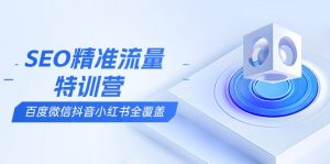 SEO精准流量特训营，百度微信抖音小红书全覆盖，带你搞懂搜索优化核心技巧-网创小站