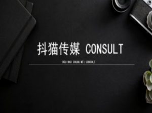 抖猫学院小红书聚光详细操作流程实操-网创小站