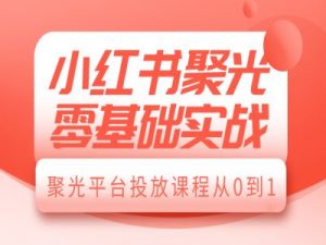 小红书聚光零基础实战，聚光平台投放课程从0到1-网创小站