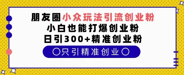 朋友圈小众玩法引流创业粉，小白也能打爆创业粉，日引300+精准创业粉【揭秘】-网创小站