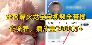 全网爆火龙宝宝视频全套操作流程，播放量2000万+-网创小站