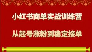 小红书商单实战训练营，从0到1教你如何变现，从起号涨粉到稳定接单，适合新手-网创小站