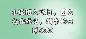 小说推文项目，图文创作玩法，新手10天挣3000-网创小站