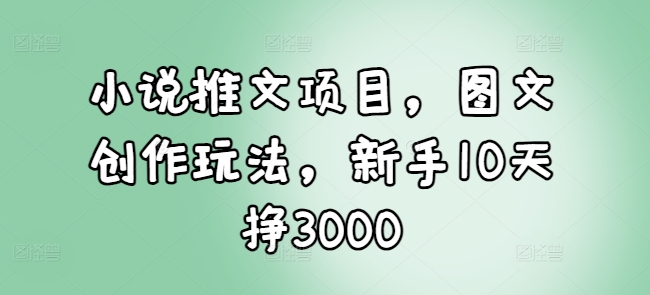 小说推文项目，图文创作玩法，新手10天挣3000-网创小站