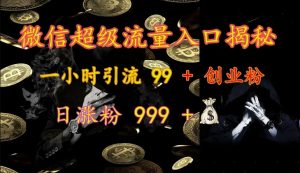 微信超级流量入口揭秘：一小时引流 99 + 创业粉，日涨粉 999 +-网创小站