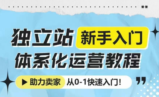 独立站新手入门体系化运营教程，助力独立站卖家从0-1快速入门!-网创小站