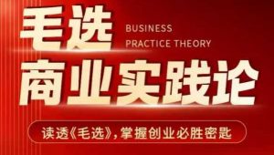毛选商业实践论，读透《毛选》掌握创业必胜密匙-网创小站