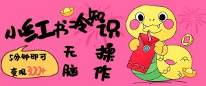 小红书冷知识账号，无脑复制粘贴，5分钟即可变现3张-网创小站