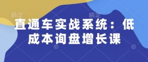 直通车实战系统：低成本询盘增长课，让个人通过技能实现升职加薪，让企业低成本获客，订单源源不断-网创小站