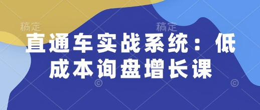 直通车实战系统：低成本询盘增长课，让个人通过技能实现升职加薪，让企业低成本获客，订单源源不断-网创小站