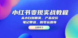 小红书变现实战教程：从小白到精英，产品定价，笔记带货，账号运营等-网创小站