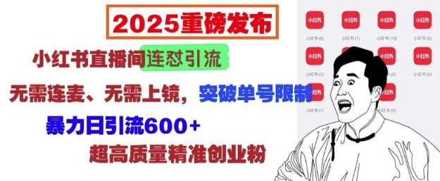 2025重磅发布：小红书直播间连怼引流，无需连麦、无需上镜，突破单号限制，暴力日引流600+-网创小站