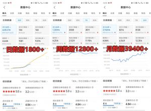 拼多多虚拟店铺项目，电脑挂机自动发货，单店日利润300+-网创小站