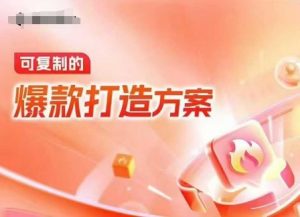 天猫电商爆款运营，可复制的爆款打造方案(线下内训课录音+字幕)-网创小站