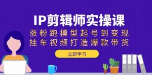 IP剪辑师实操课：涨粉跑模型起号到变现，挂车视频打造爆款带货-网创小站