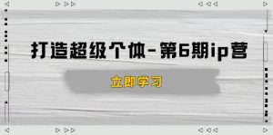 打造 超级个体-第6期ip营:商业认知,产品设计,成交演练,解决知识变现难题-网创小站