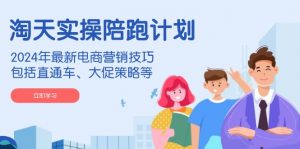 淘天实操陪跑计划，2024年最新电商营销技巧，包括直通车、大促策略等-网创小站
