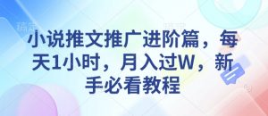 小说推文推广进阶篇，每天1小时，月入过W，新手必看教程-网创小站