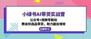 小绿书AI带货实战营：公众号+视频号联动，教会你选品带货，助力副业增收-网创小站