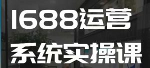1688高阶运营系统实操课，快速掌握1688店铺运营的核心玩法-网创小站