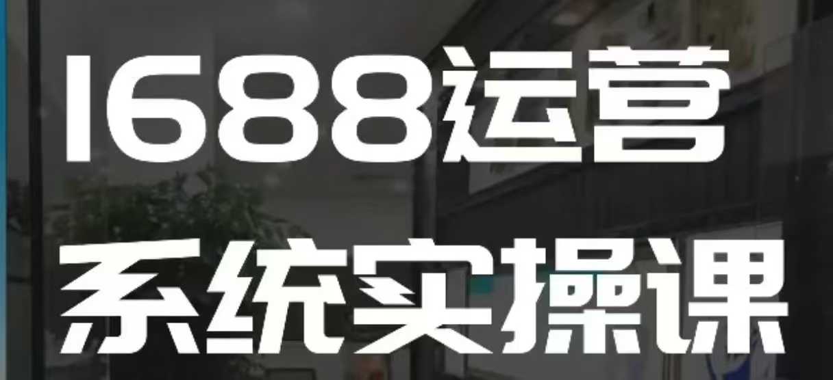 1688高阶运营系统实操课，快速掌握1688店铺运营的核心玩法-网创小站