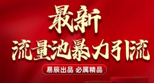 最新“流量池”无门槛暴力引流(全网首发)日引500+-网创小站