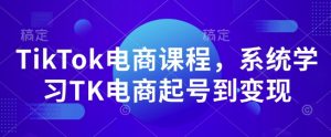 TikTok电商课程，​系统学习TK电商起号到变现-网创小站