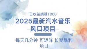 2025最新汽水音乐躺赚项目 每天几分钟 日入1000＋-网创小站