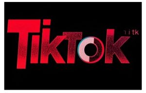 TikTok ads投流秘籍，涵盖tiktok整体投放思路，教你搭建测试计划-网创小站