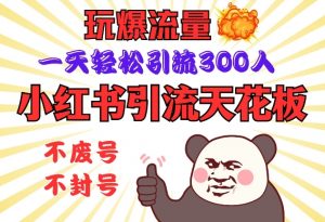 小红书引流天花板，玩爆流量，一天轻松引流300人，安全操作-网创小站
