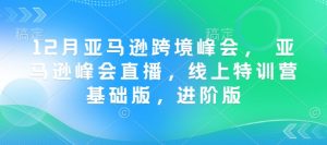 12月亚马逊跨境峰会， 亚马逊峰会直播，线上特训营基础版，进阶版-网创小站