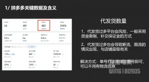 纪主任·拼多多年费会员(更新2025年1月)-网创小站