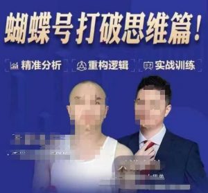 天诺老吴蝴蝶号50节线上课，蝴蝶号打破思维篇-网创小站