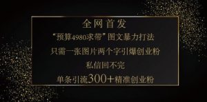 小红书神奇图片引流法，只需一张图，就能单条笔记凭借此方法，轻松引流 300 + 精准创业粉-网创小站