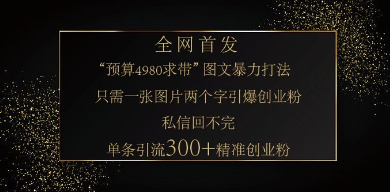 小红书神奇图片引流法,只需一张图,就能单条笔记凭借此方法,轻松引流 300 + 精准创业粉-网创小站