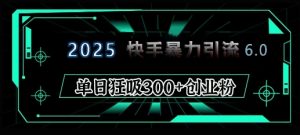 2025年快手6.0保姆级教程震撼来袭，单日狂吸300+精准创业粉-网创小站