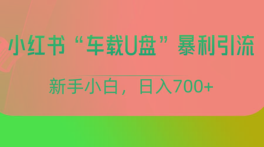 小红书“车载U盘”项目，暴利引流，新手小白轻松日入700+-网创小站